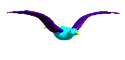 bird.gif (3093 bytes)
