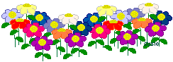 multicolorflowers.gif (4458 bytes)